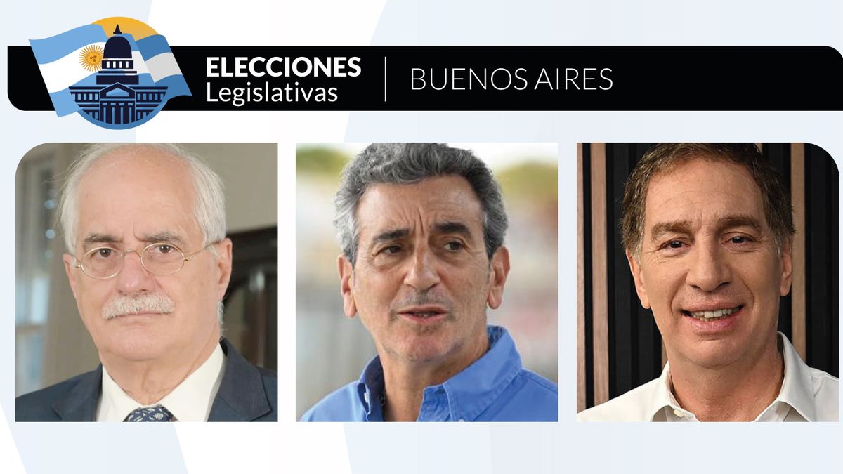se eligen 35 diputados nacionales