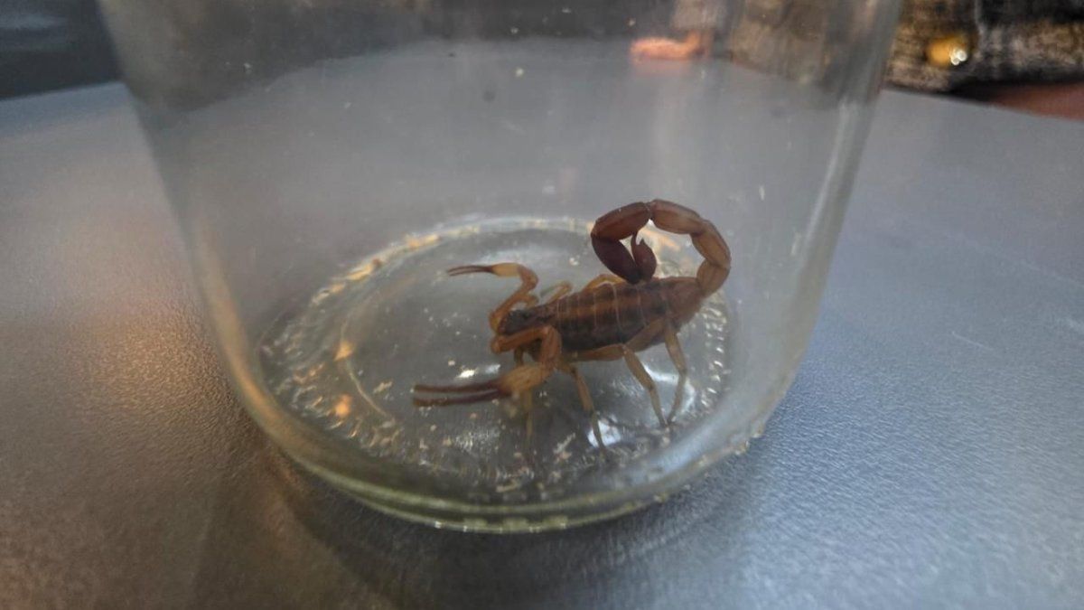 Gremios denuncian estado lamentable de los baños del edificio central de ARCA