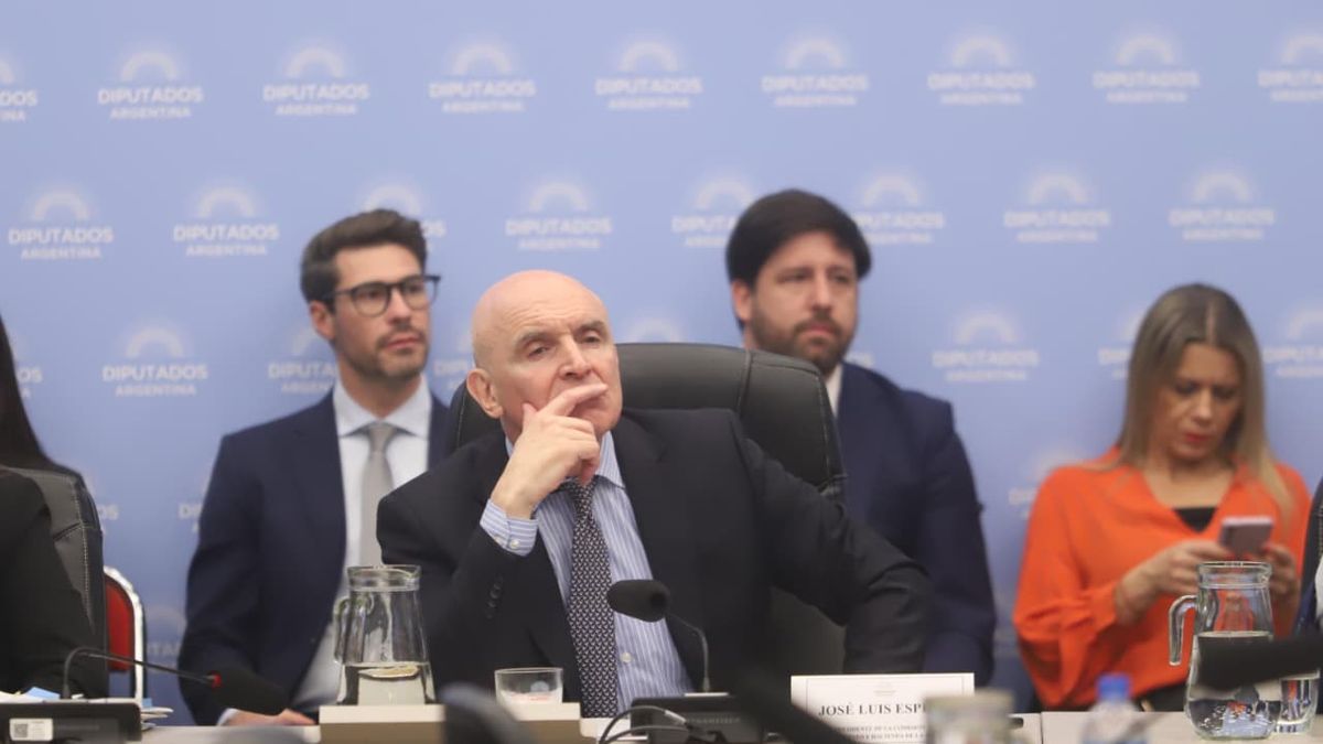 José Luis Espert resistió los pedidos de remoción de la comisión de Presupuesto