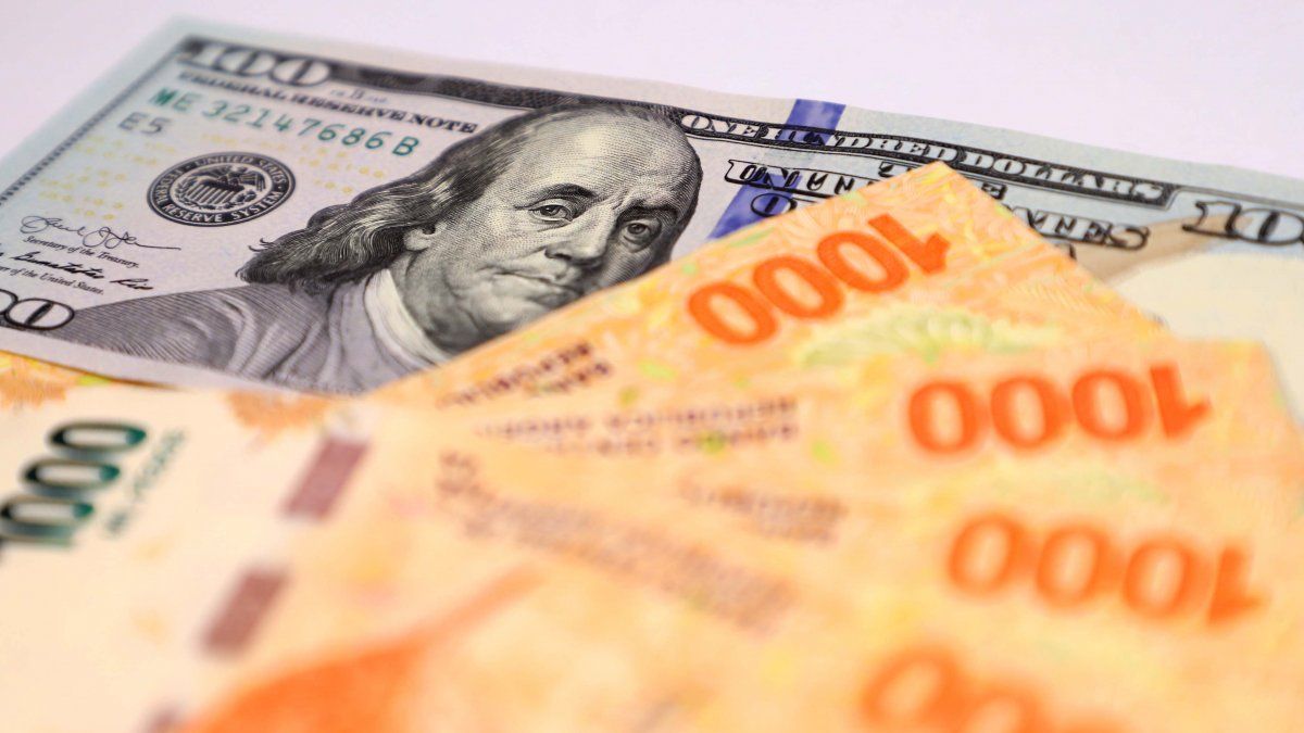 la TAMAR y la caución superaron el 70%