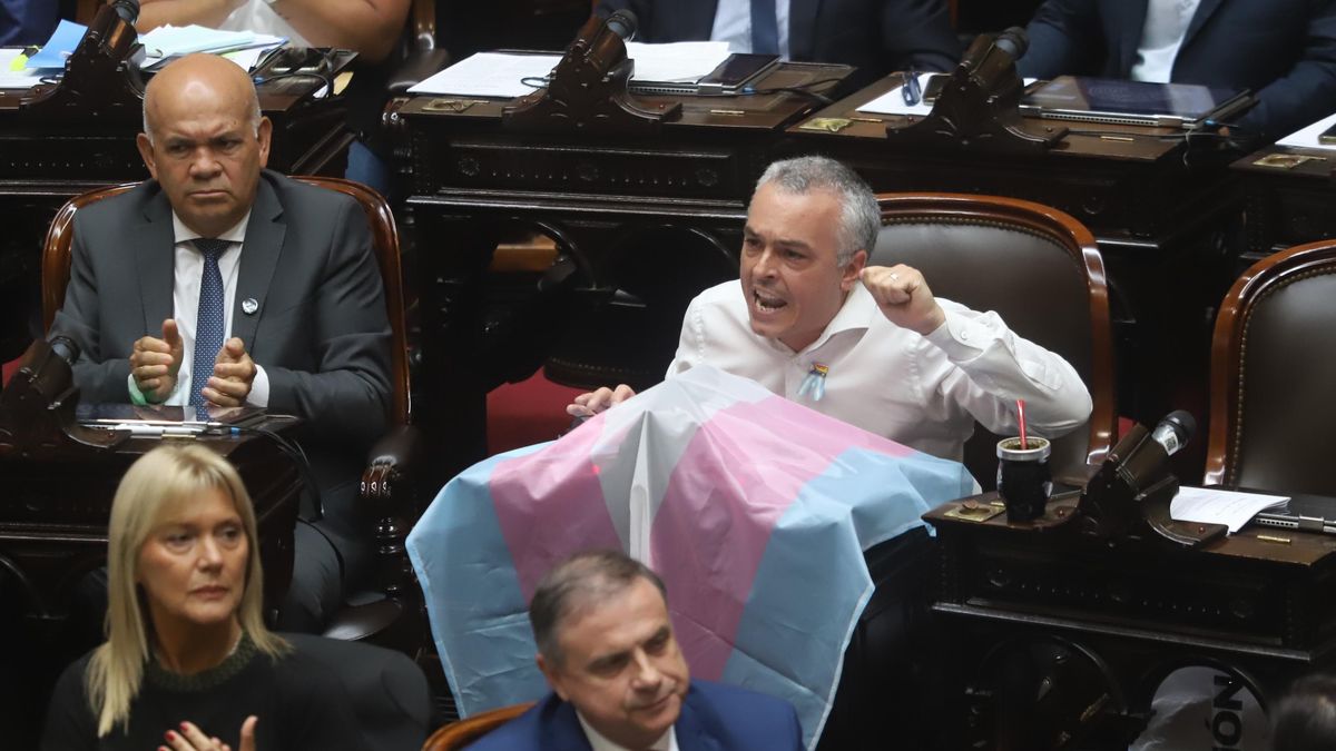 La oposición presentó un proyecto para destinar los $12.169 millones de la reimpresión de las BUP a pagar deudas de ANDIS