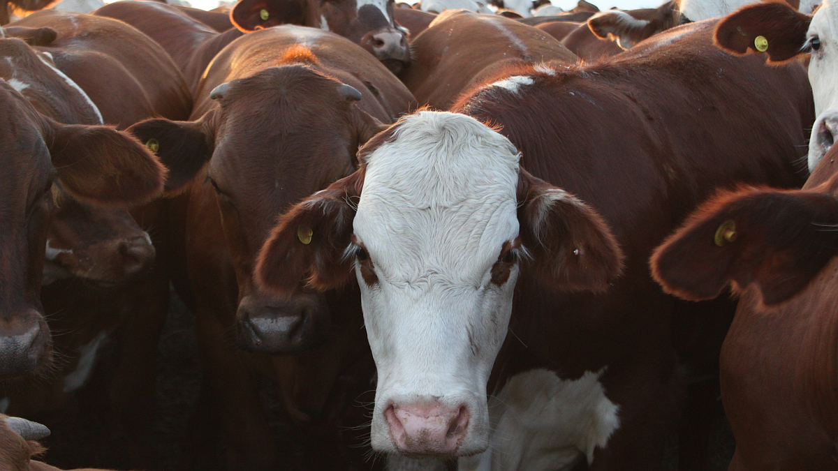 La señora está mal informada