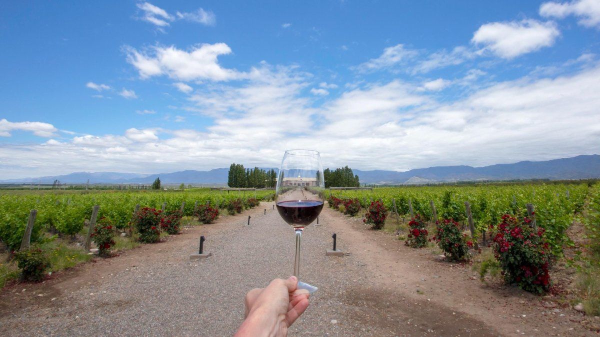 Mendoza reunirá a más de 100 bodegas en una oportunidad comercial internacional