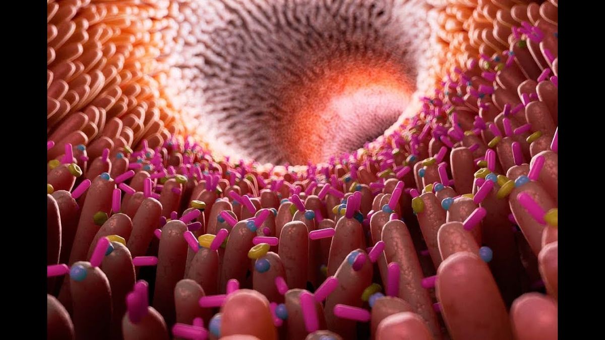 Ocho de cada 10 argentinos ya cuidan su salud digestiva