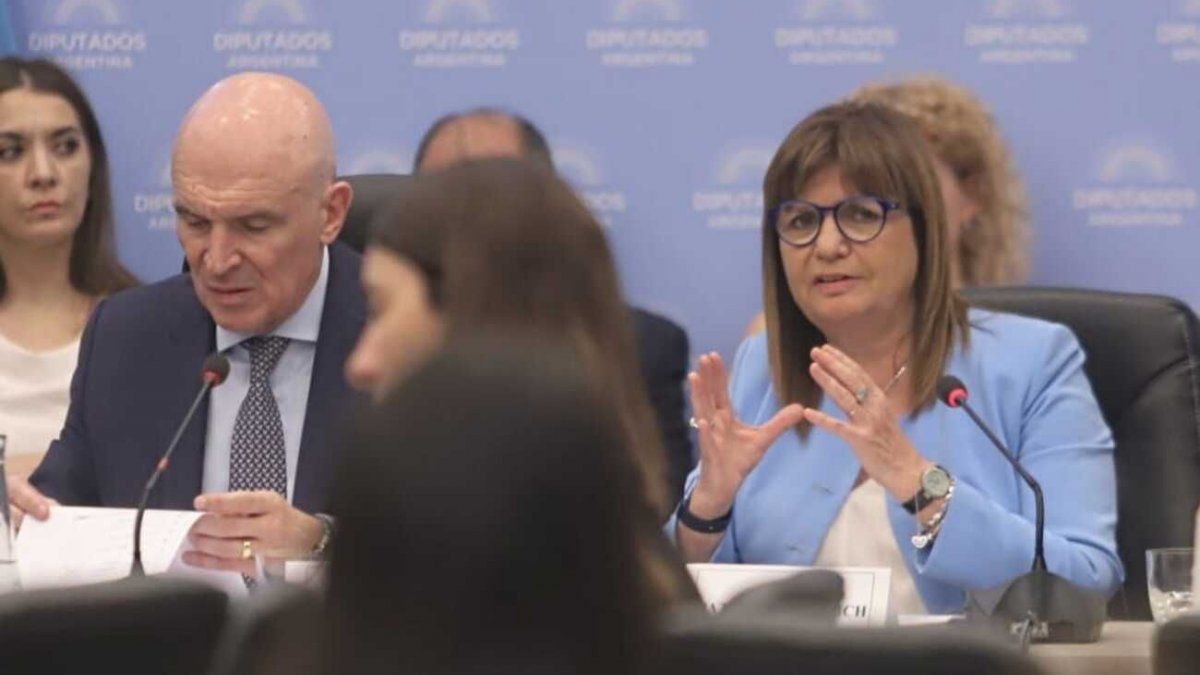 Patricia Bullrich pide explicaciones a José Luis Espert: "No podemos aceptar conductas de personas aliadas al narco"