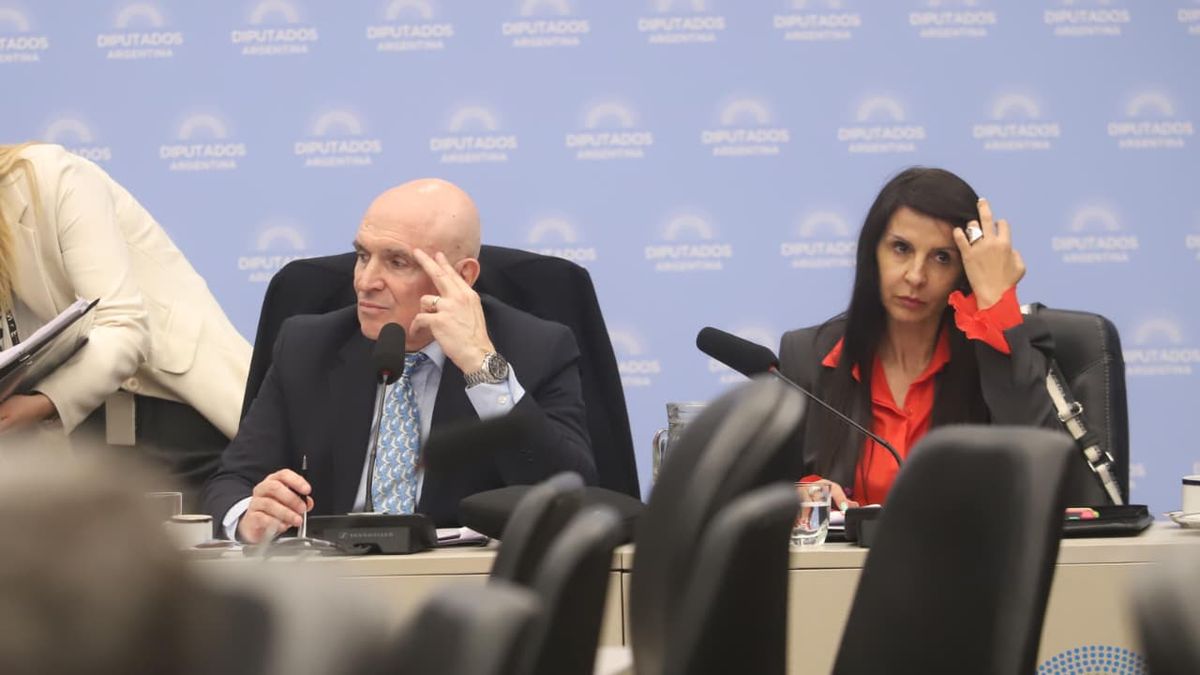 Presupuesto 2026: con Carlos Guberman y José Luis Espert en la mira de la oposición, se anticipa un tenso debate en Diputados