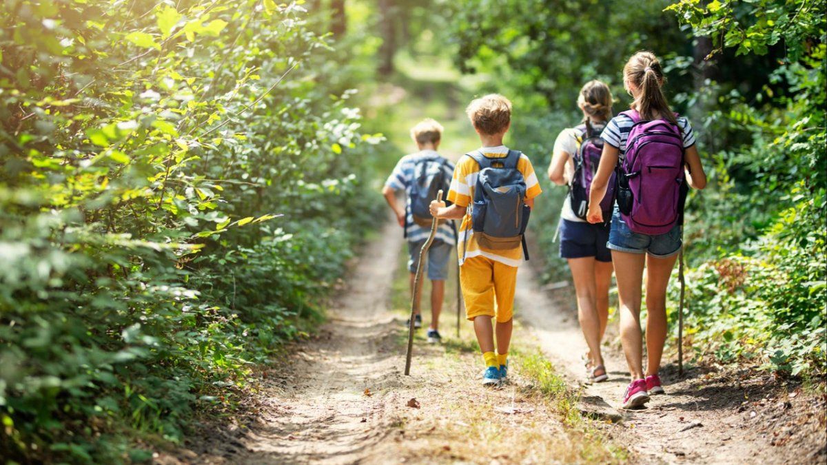un paseo por la naturaleza le otorgó una fortuna