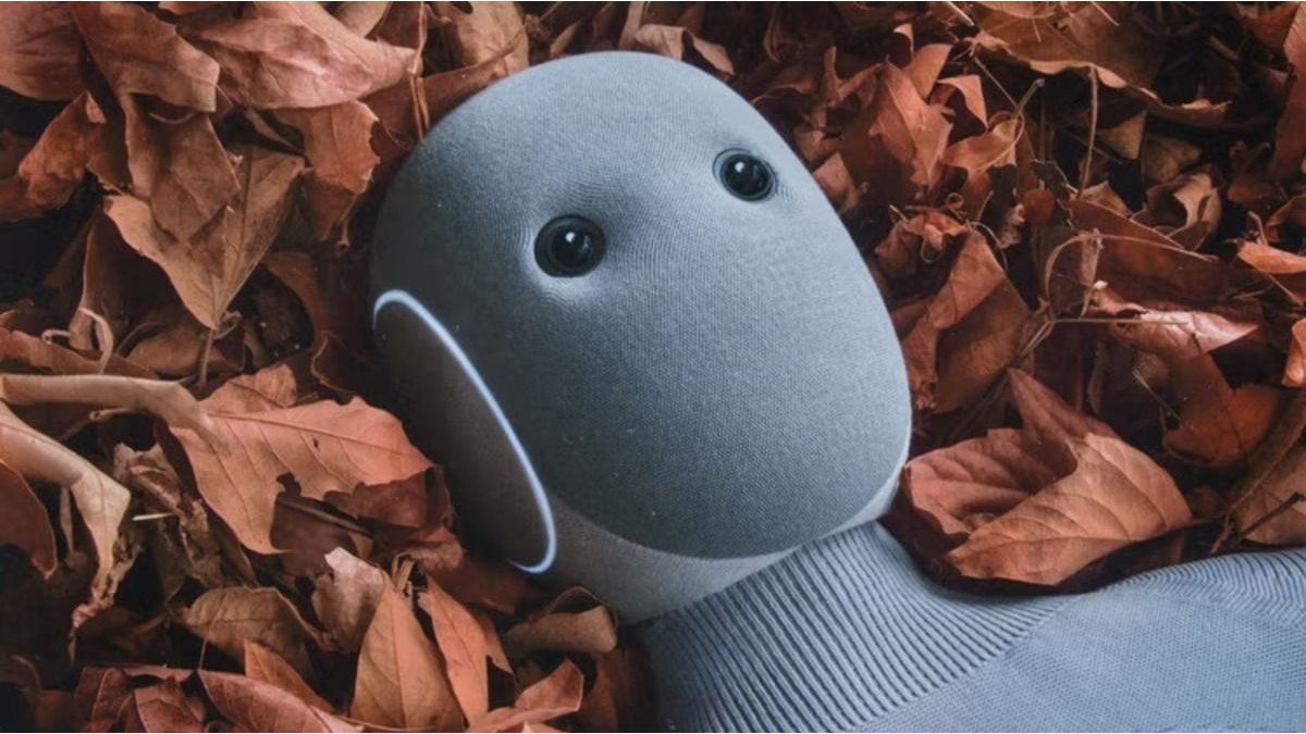 cómo funciona y qué tareas realiza