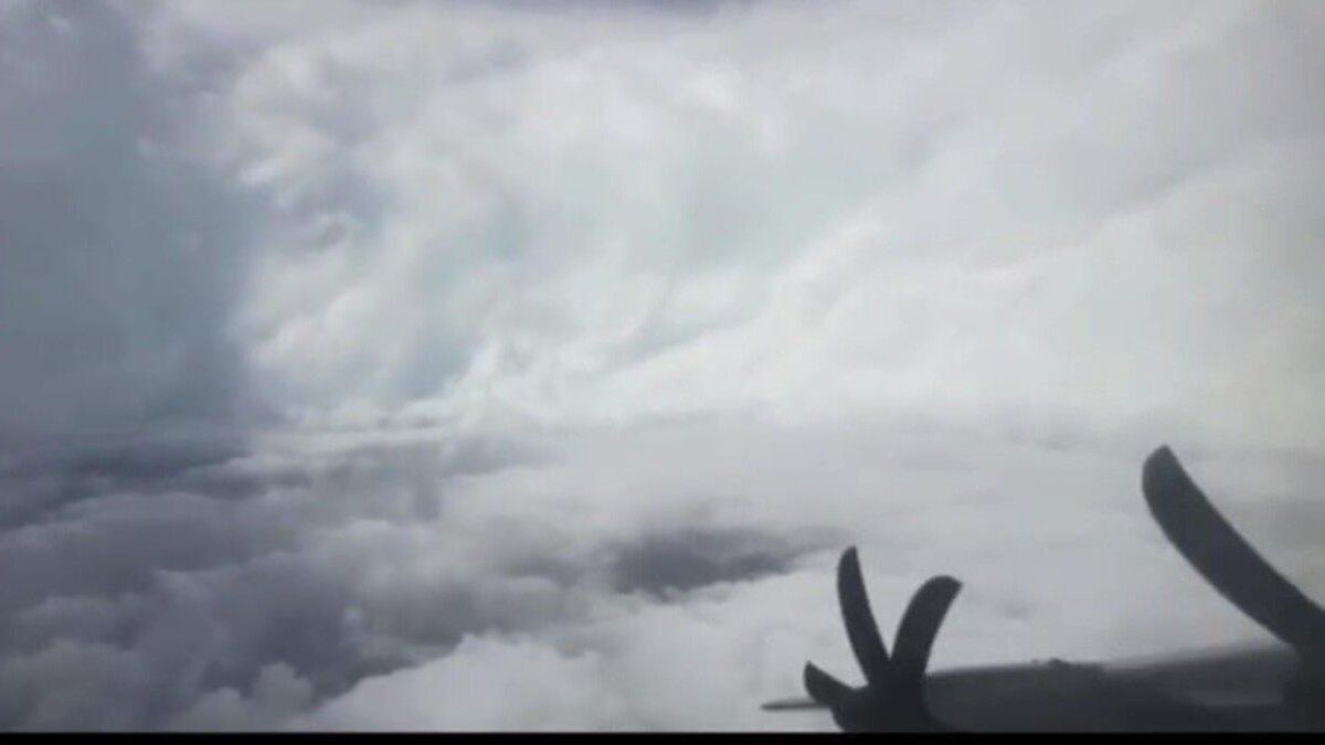 qué significa que sea categoría 5 y cuáles son los riesgos