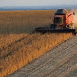 China realizó compras limitadas de productos agrícolas a EEUU, en un gesto más político que económico