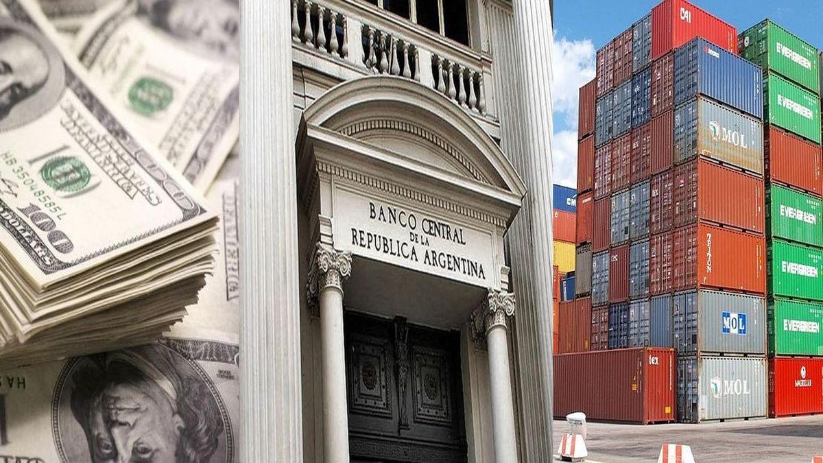 El BCRA lanza una nueva herramienta para simplificar el acceso a información para exportadores