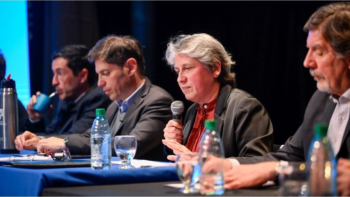 El Senado bonaerense aprobó el pliego de Flavia Terigi como nueva titular de Educación