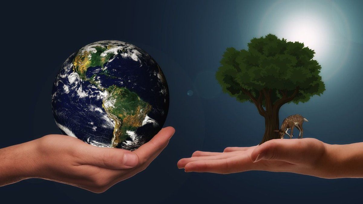 el innovador invento de una joven de 17 años que sorprendió a millones