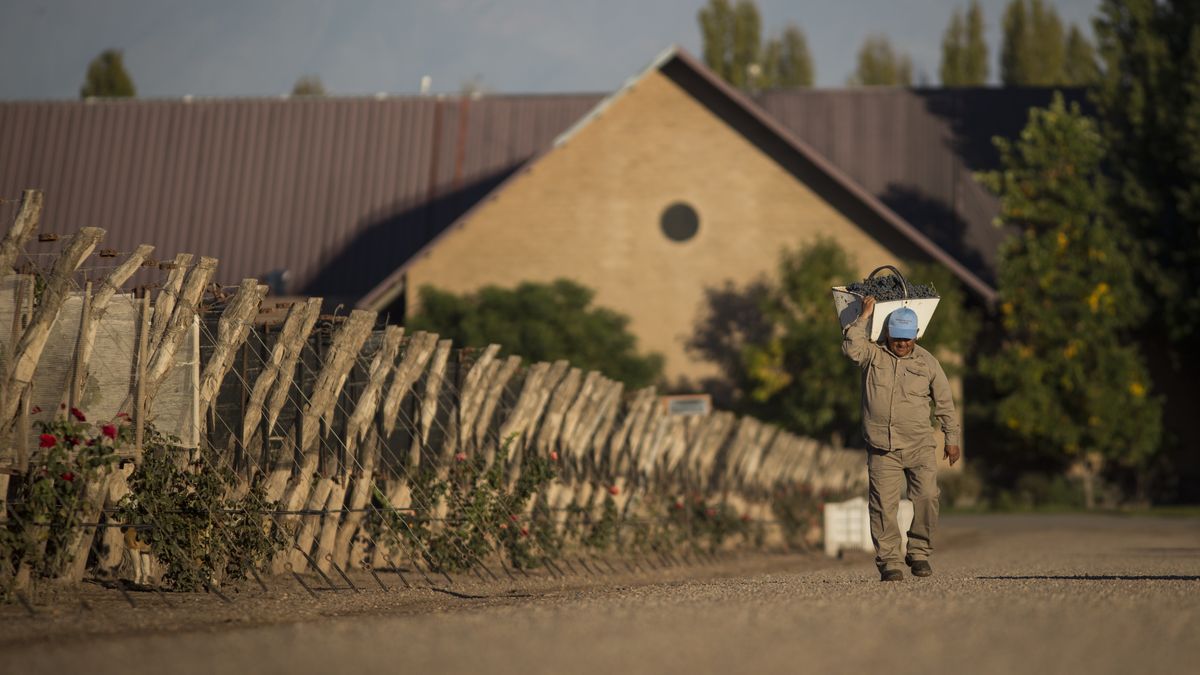 la industria se agrupó en defensa de un instrumento clave que el Gobierno quiere eliminar