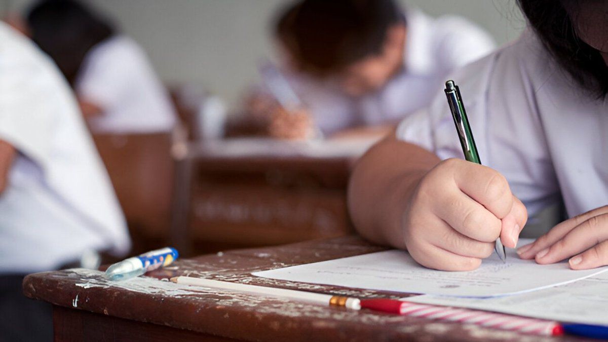 La reforma educativa que la economía argentina necesita: el sistema dual