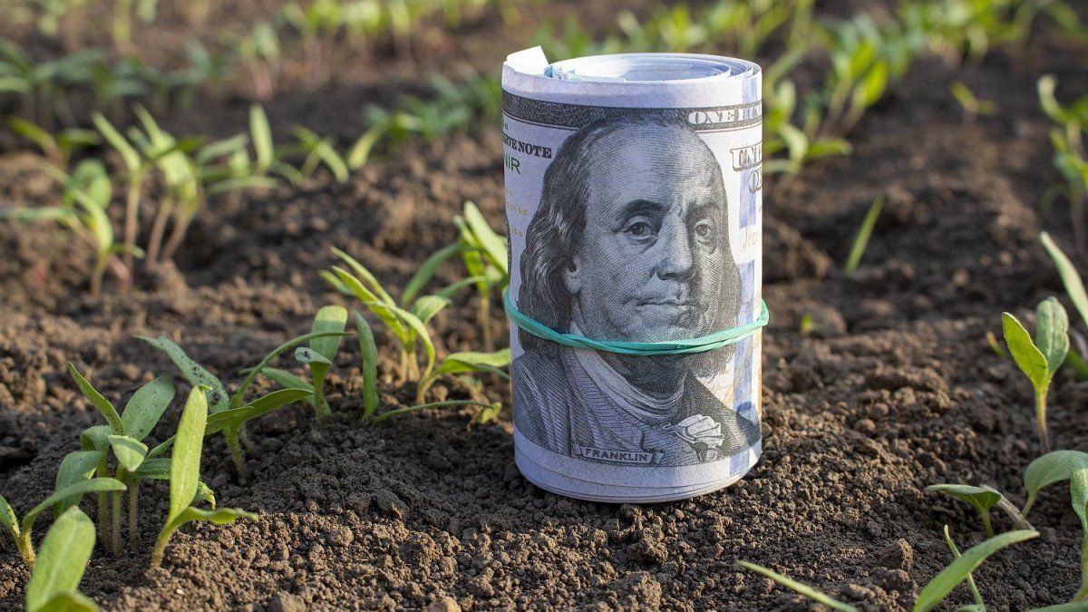 las liquidaciones se desplomaron en octubre tras las retenciones cero