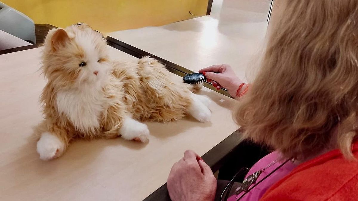 Aseguran que las mascotas robot ayudan a reducir las emociones negativas en personas con Alzheimer