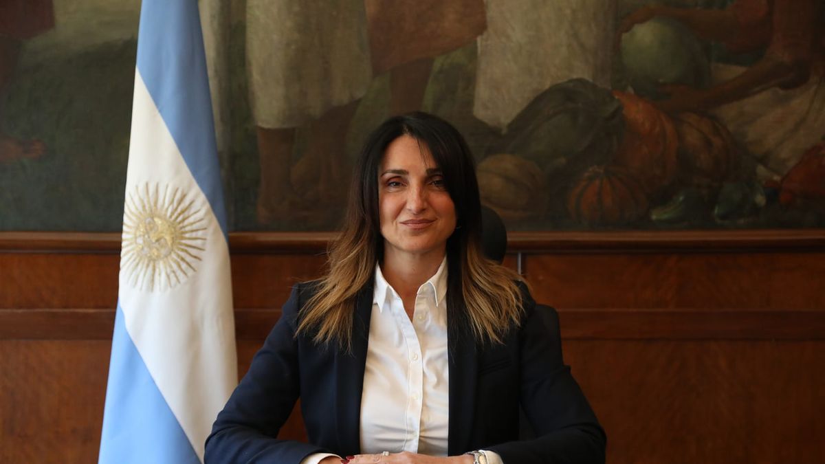 renunció la viceministra de Salud, Cecilia Loccisano