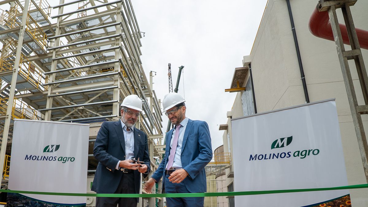 Molinos Agro invierte u$s12 millones para ampliar la molienda de girasol en San Lorenzo