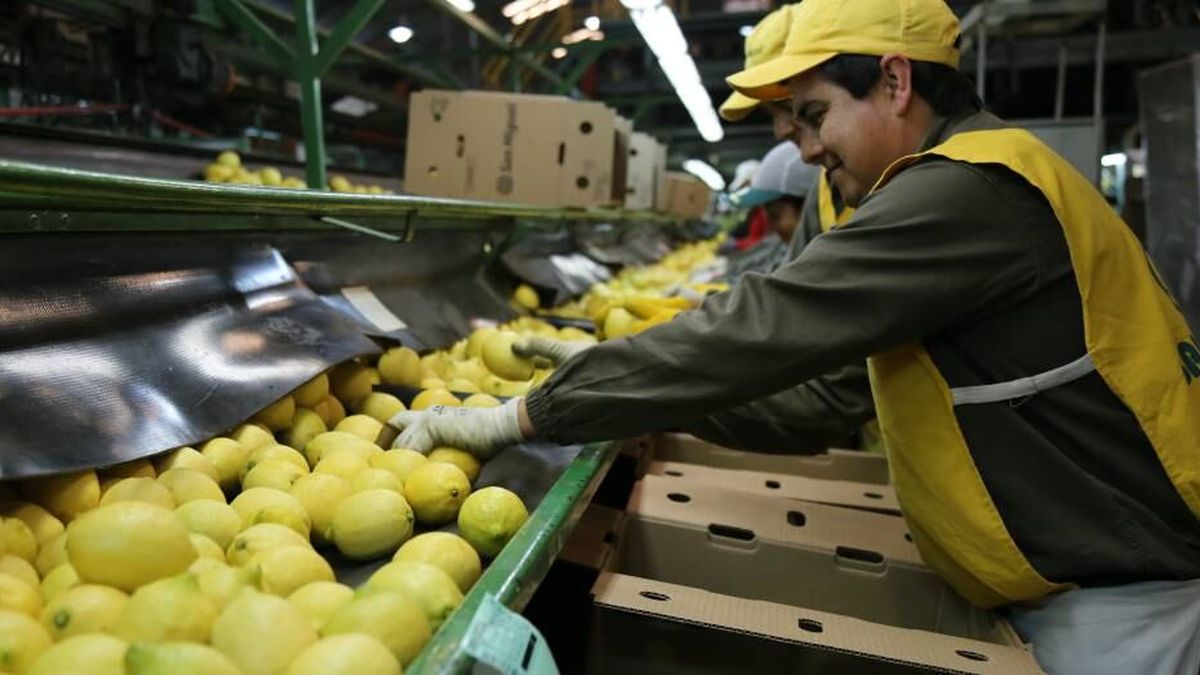 San Miguel estira vencimientos de deuda y FIX le baja la calificación en plena reconfiguración del negocio