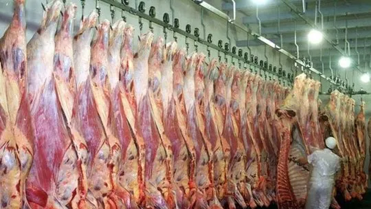¿Problemas para Argentina? China aplica aranceles del 55% a las importaciones de carne vacuna excedente