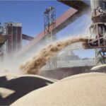 Exportaciones récord para el campo, que registró un crecimiento exponencial de su producción en 2025