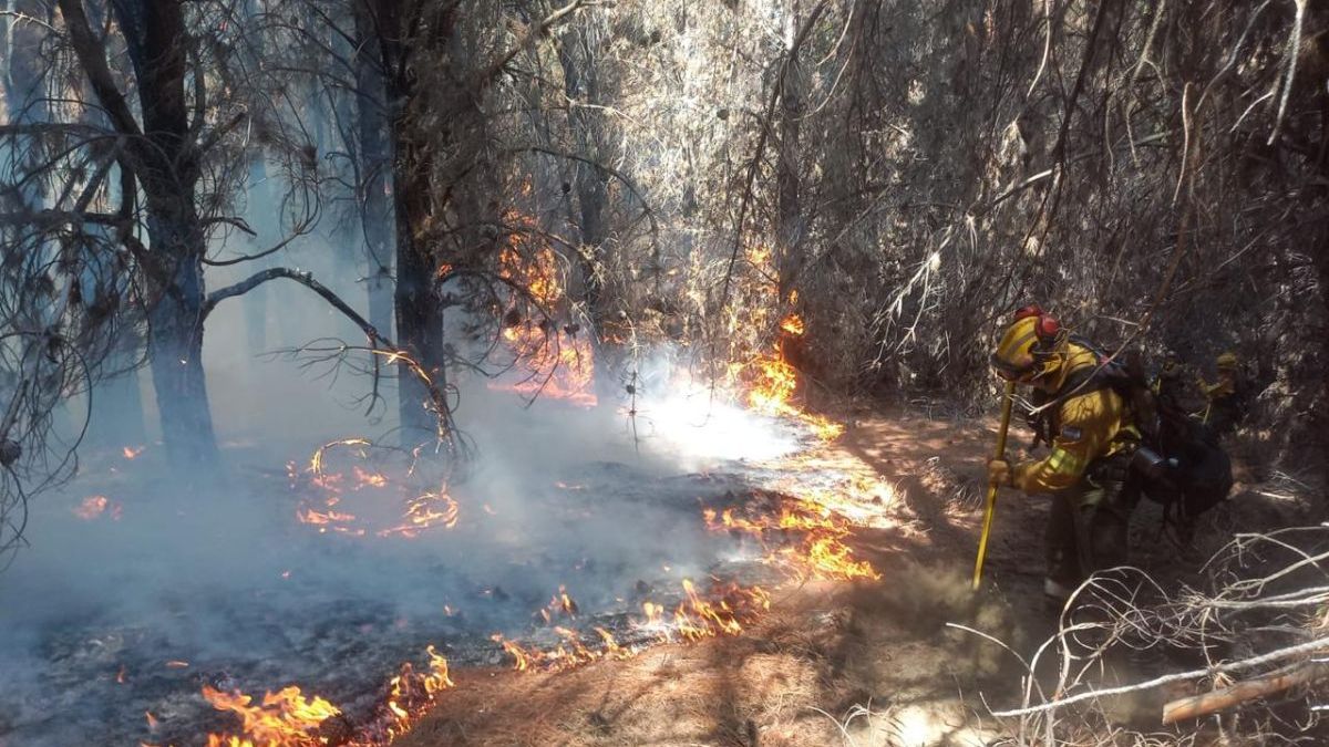 Por los incendios, gobernadores patagónicos reclamaron al Congreso que apruebe una ley de Emergencia Ígnea