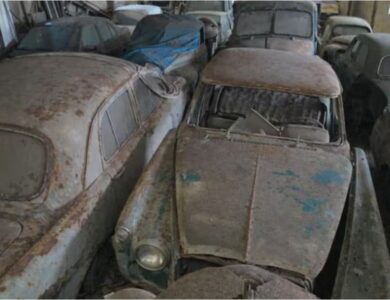 encontraron una impactante colección de autos clásicos abandonados