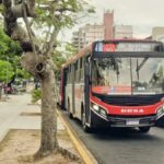 cae el número de pasajeros del transporte público y presiona el precio del boleto