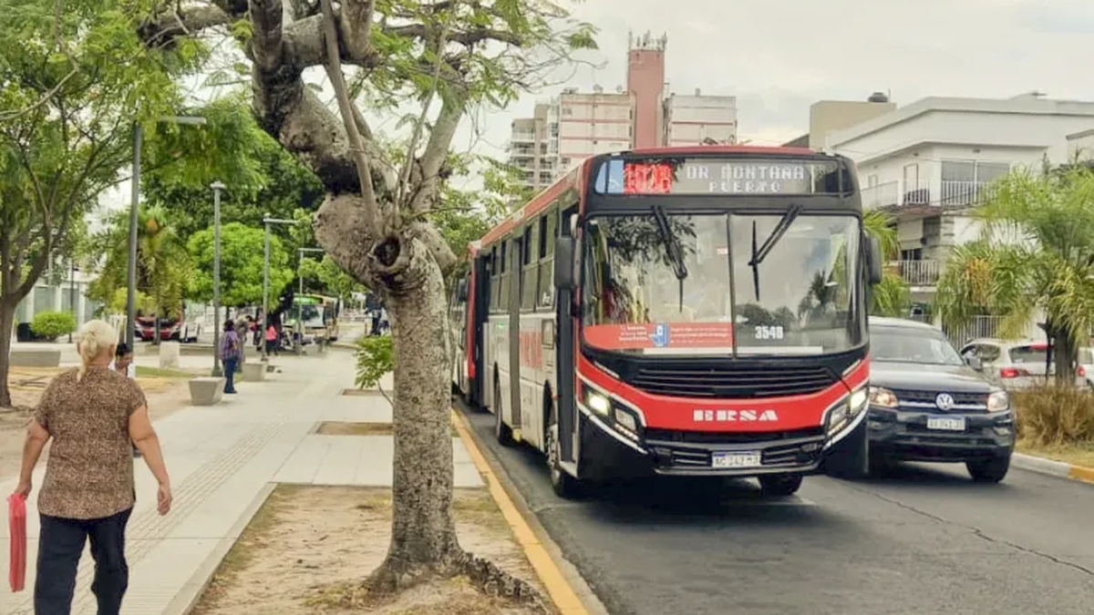 cae el número de pasajeros del transporte público y presiona el precio del boleto