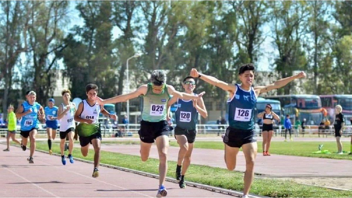 el Poder Ejecutivo creó nuevas categorías y actualizó el sistema