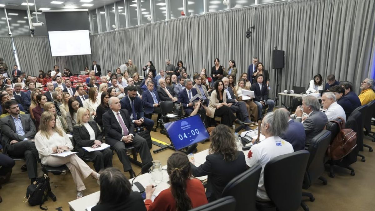 Por amplia mayoría, la audiencia pública rechazó la reforma a la ley de Glaciares en su primera jornada