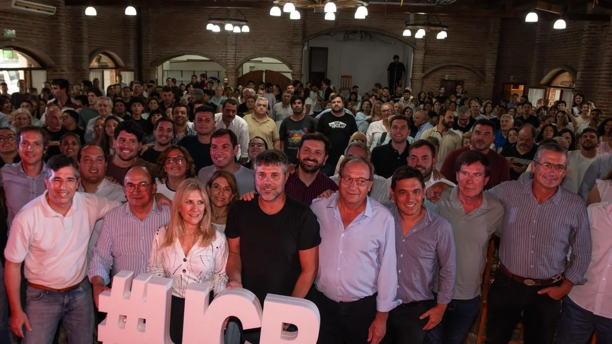 Lousteau, cada vez más lejos de ser un referente para la UCR