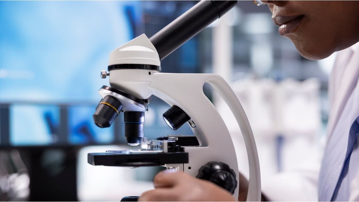 Lanzan un nuevo microscopio digital desmontable que facilitará el trabajo de millones
