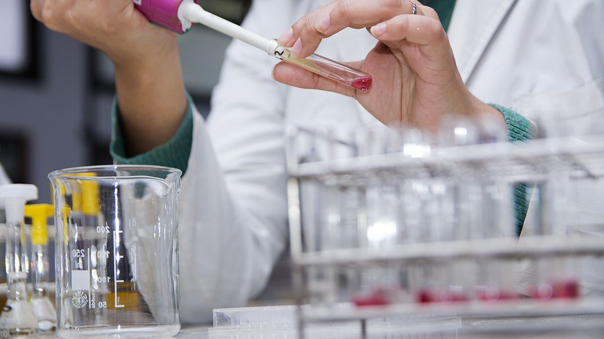 Crean el Programa Nacional Sello Ciencia Argentina para impulsar empresas de base tecnológica