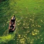 archivo, obra y programa a diez años de su muerte