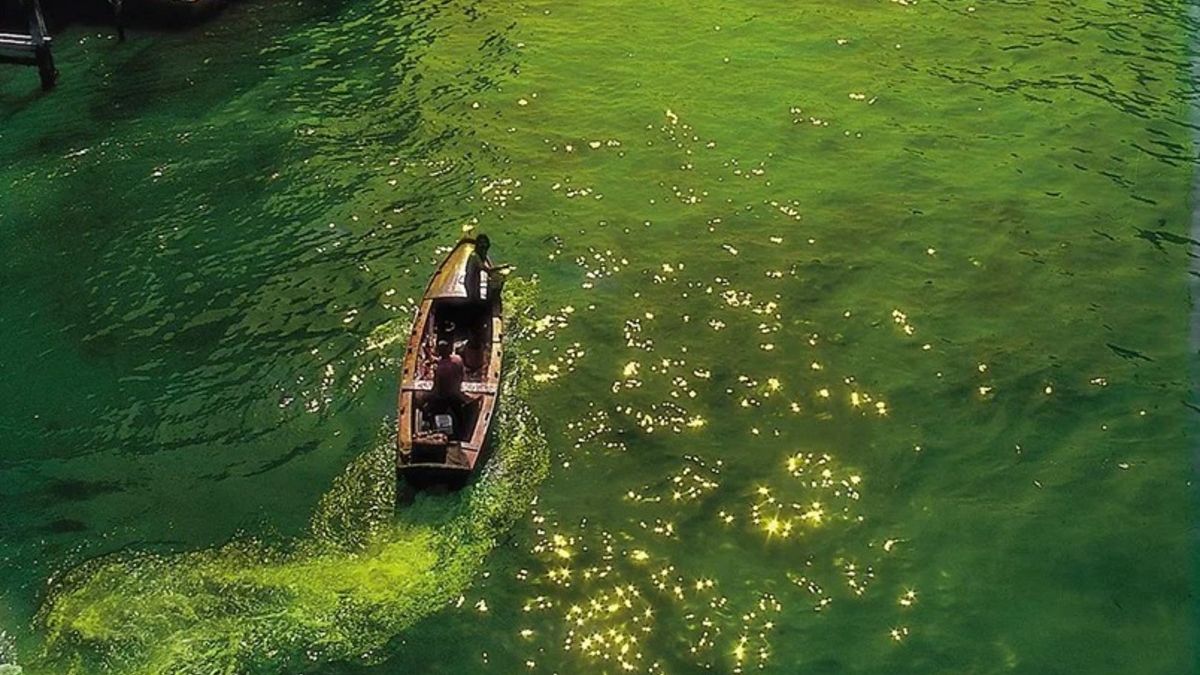 archivo, obra y programa a diez años de su muerte