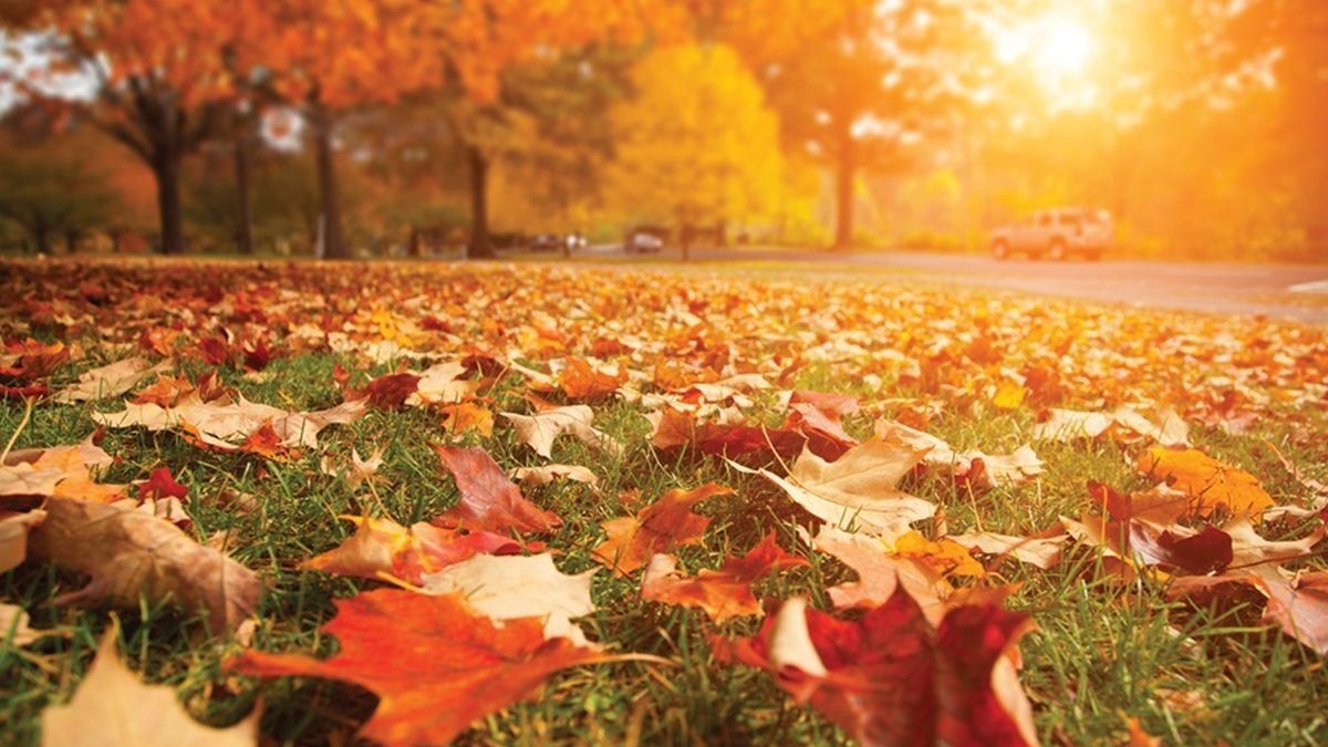 Los mejores tips para afrontar el otoño de la mejor manera, según ChatGPT