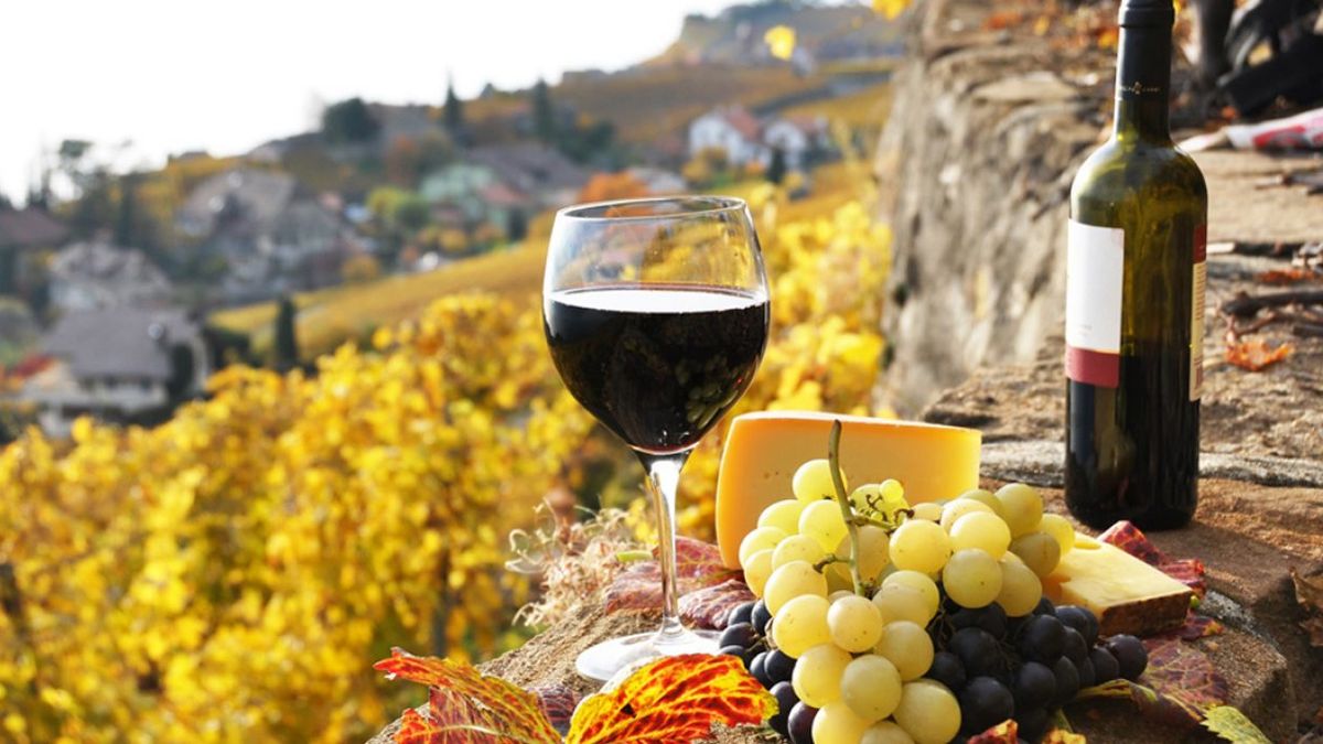 Las importaciones de vino embotellado crecieron más de 300% el último año, pero son bienvenidas por la industria