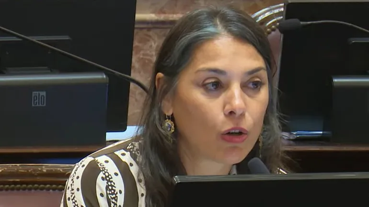 El Senado aprobó el pliego de Lucila Crexell como embajadora en Canadá en medio de acusaciones por su voto en Ley Bases