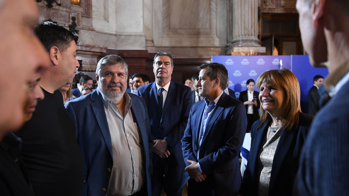 José Mayans pidió juicio político a Javier Milei: "No entiende un carajo y está pirado"