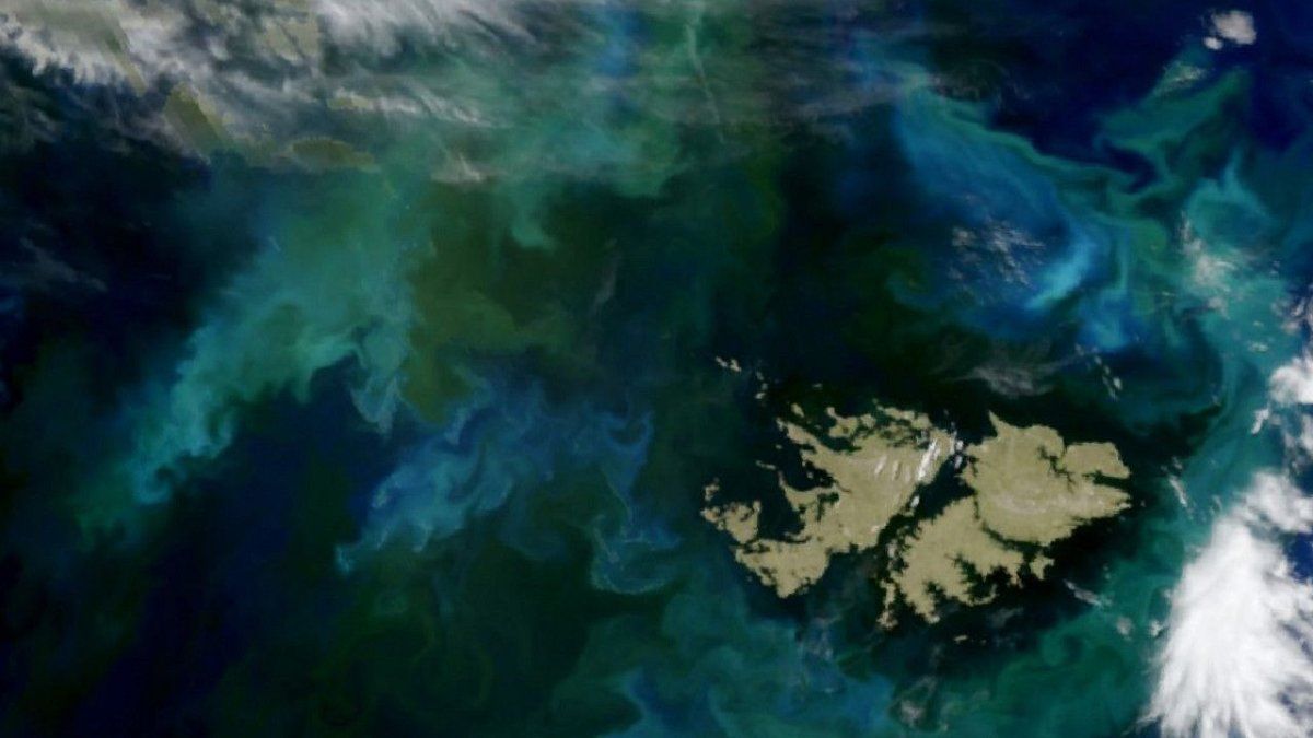 Cancillería respaldó a Bolivia tras un cruce con el embajador británico y volvió a reclamar negociaciones