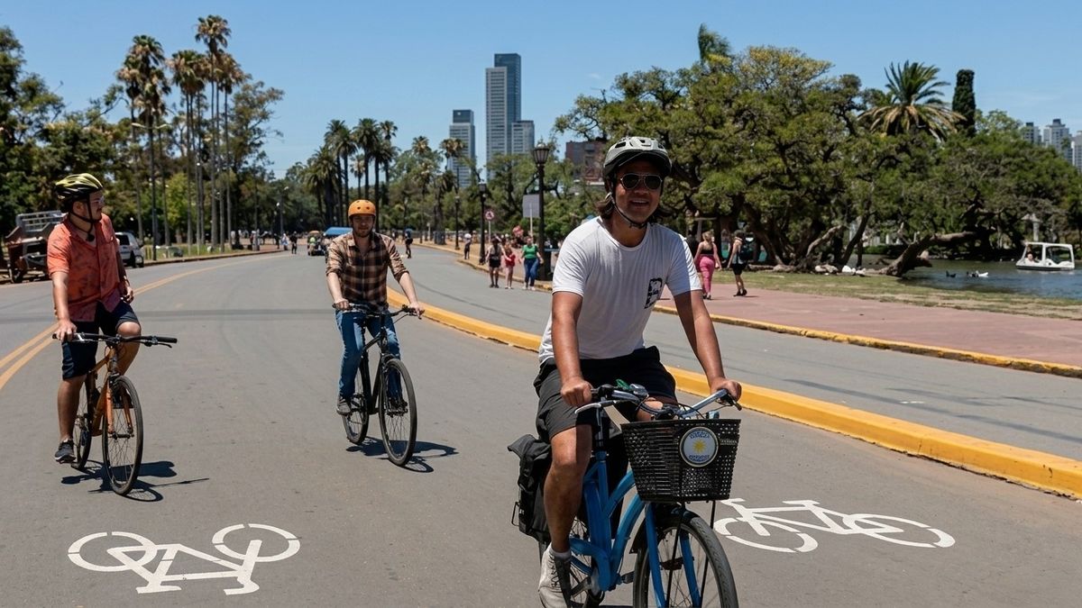 tamaño, frenos, uso y cuánto salen los modelos más buscados