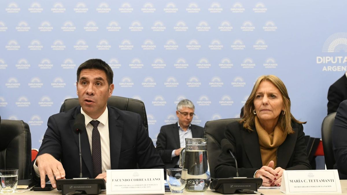 Con el respaldo de la secretaria de Energía en Diputados, el Gobierno avanzó en la reforma del régimen de zona fría
