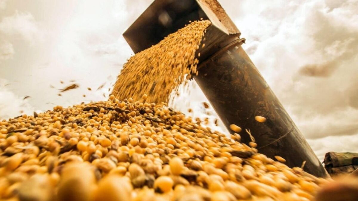 El acuerdo México-Unión Europea reconfigura el comercio regional y genera inquietud en el agro argentino