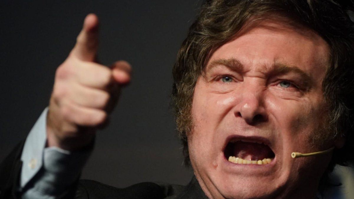 Qué le preocupa (y enoja) a Javier Milei