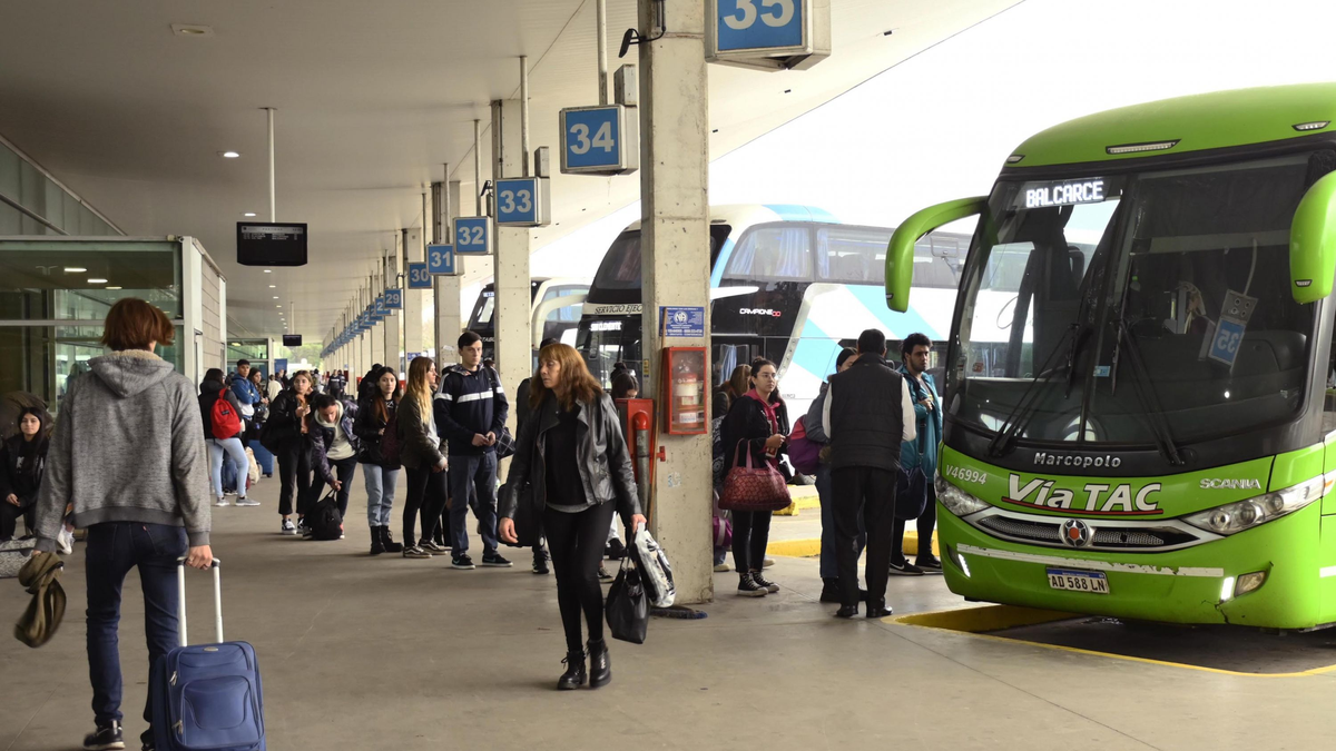 Presentan proyecto para restituir subsidios al transporte de personas con discapacidad