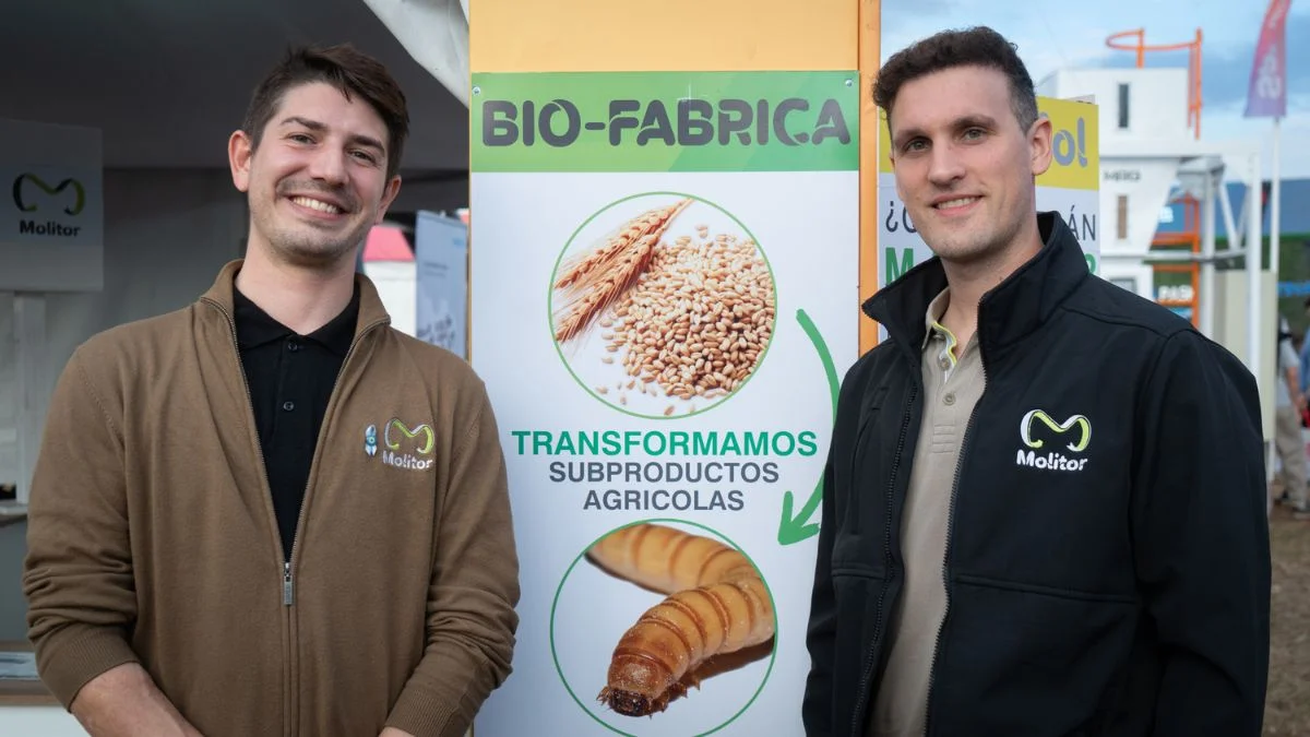la historia de la startup santafesina que quiere cambiar la nutrición animal