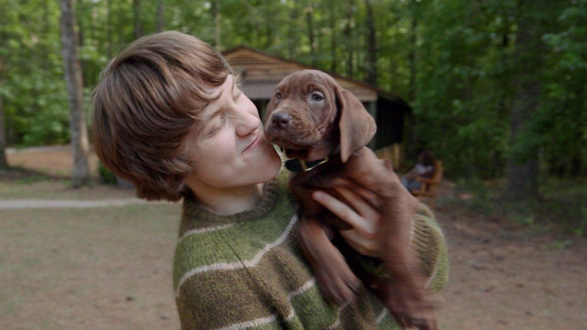 Netflix revela su versión en live-action del icónico canino