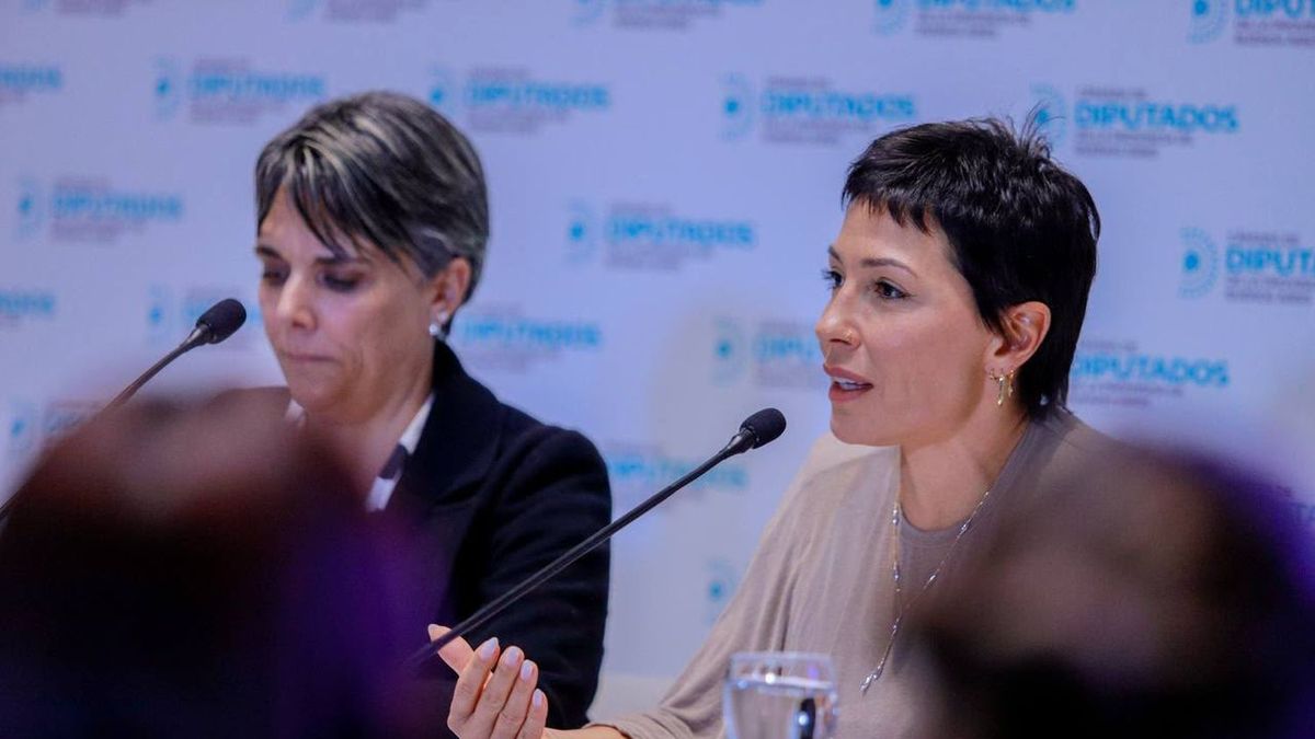 Presentaron un proyecto para prevenir la violencia digital en las escuelas bonaerenses